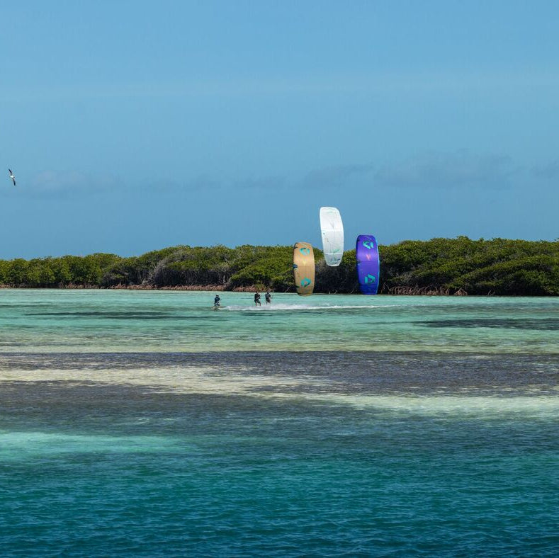 Duotone Rebel SLS Concept Blue 2026 beim Kiten