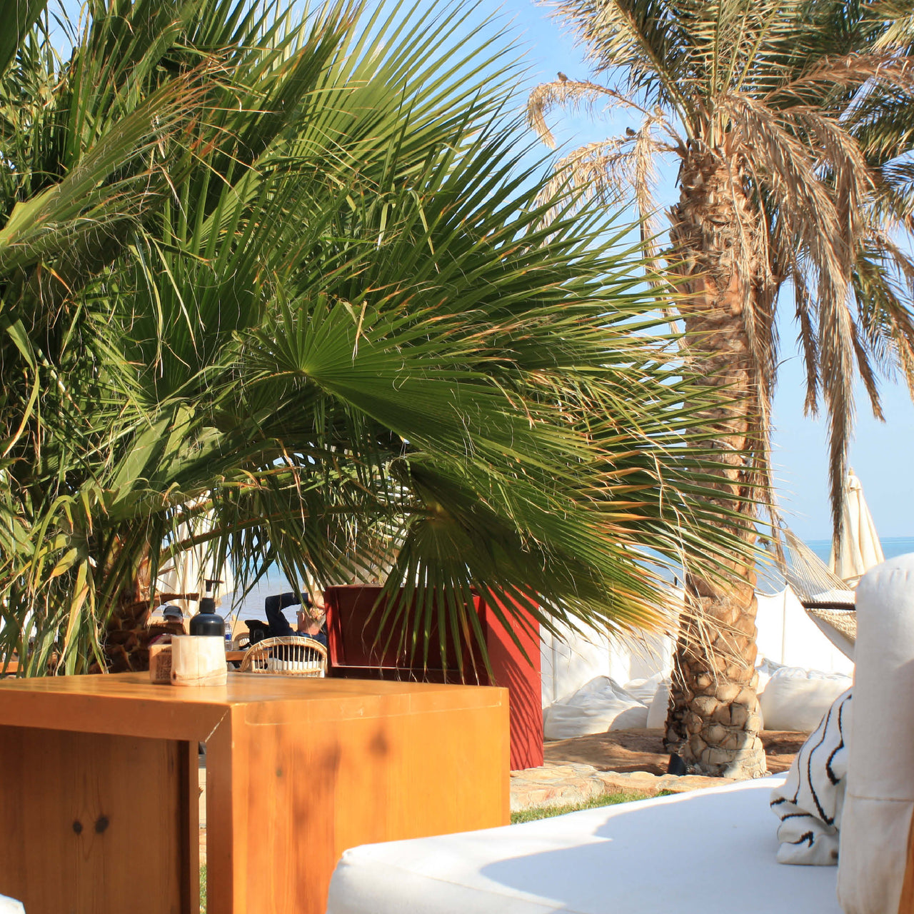 Kitejunkie feat. Makani Beach Club