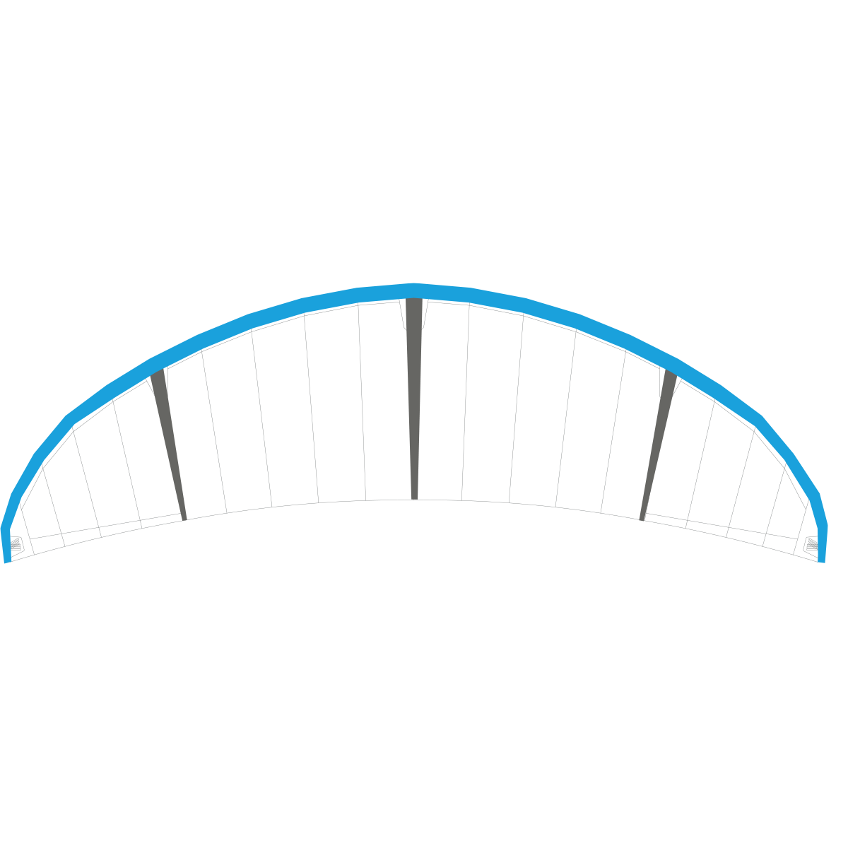 Harlem Thrive Bladder – Leading Edge