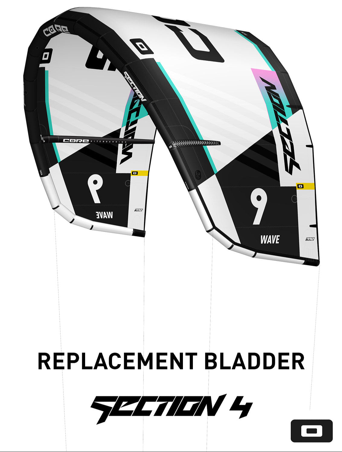 Core Section 4 Bladder