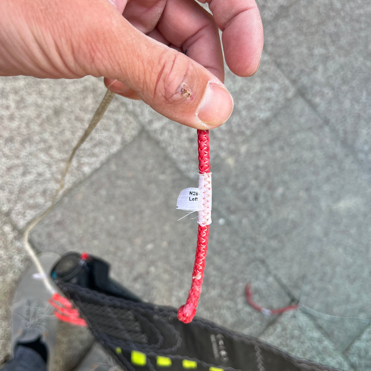 North Orbit 2026 8QM 5⭐