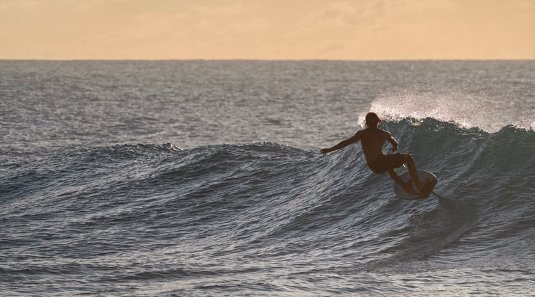 North Sonar SF carving wave ride