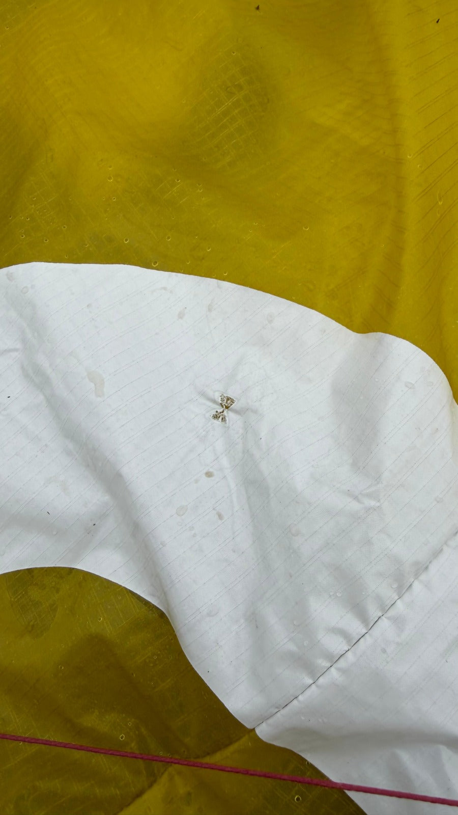 Flysurfer Sonic Kite mit Druckfehler 1