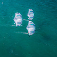Wingfoilen mit dem Flysurfer Avid 